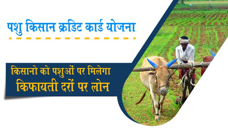 Pashu Kisan Credit Card Yojana