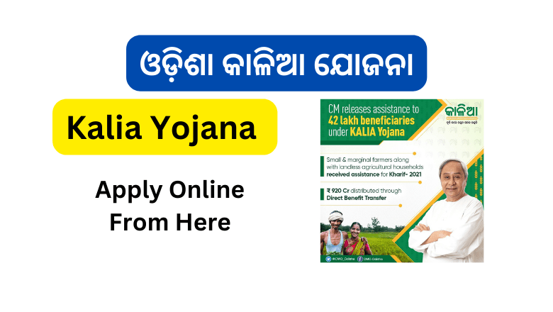 Kalia Yojana